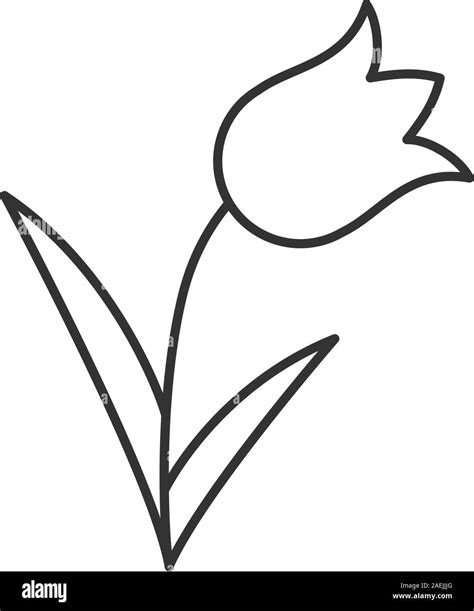 tulip outline|Tulip Outline Vector Art, Icons, and Graphics for Free。